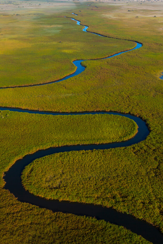 Aerial view of winding water channels through lush green floodplains in the Okavango Delta, Botswana – showcasing the beauty of this UNESCO World Heritage wetland.