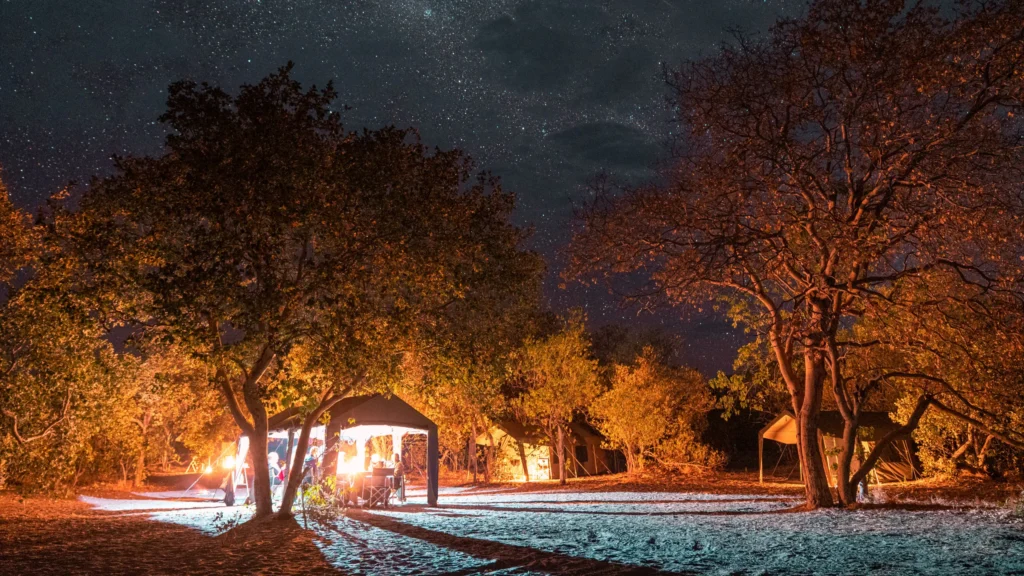 Mobile safari camp under a starry sky in Savuti, Botswana. Lanterns illuminate the camp and surrounding trees, creating a magical evening atmosphere.