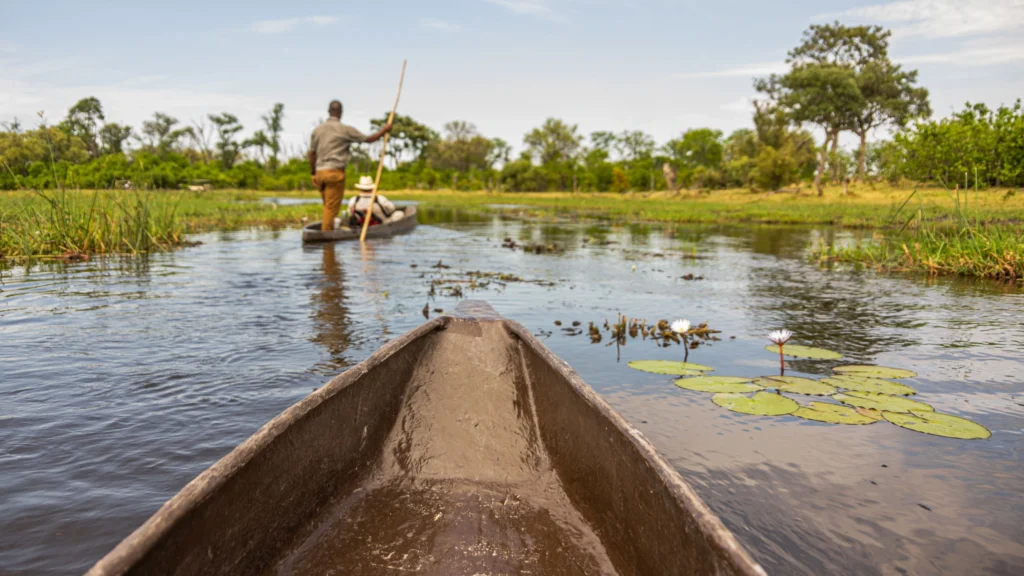 A peaceful mokoro safari glides through the water channels of Khwai, with water lilies in bloom and lush greenery reflecting in the delta.