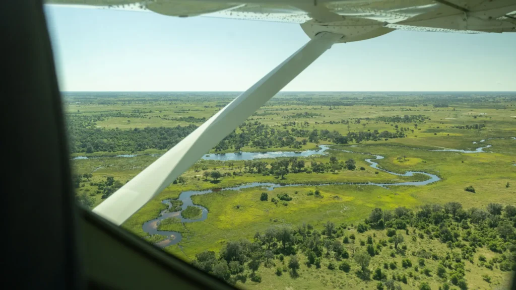 Aerial view of the Okavango Delta from a small aircraft, showcasing winding water channels and lush green plains.