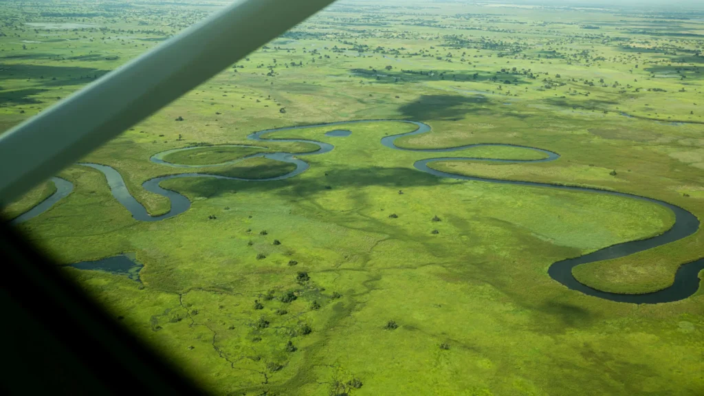 Aerial view of the Okavango Delta in Botswana, showcasing the winding water channels and lush green landscape from an aircraft window.