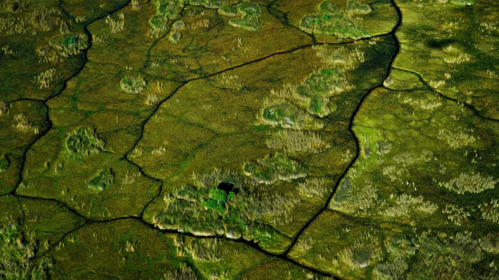 Aerial view of the Okavango Delta, showcasing winding water channels, lush greenery, and vibrant vegetation in a vast wetland landscape.