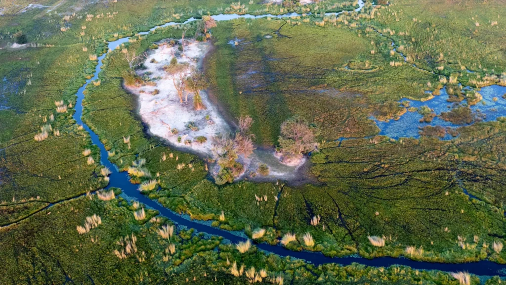 Aerial view of the Okavango Delta, showcasing a winding stream and a small island surrounded by lush wetlands and vibrant greenery.